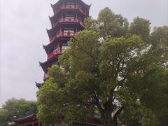-绳金塔