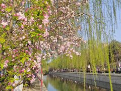 -海棠花溪(元大都城垣遗址公园)