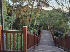 -八仙山公园
