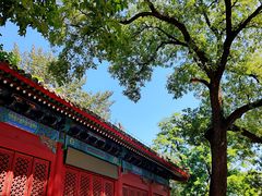 -报国寺