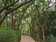 -广州市白云山风景名胜区