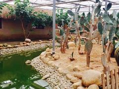 -上海都市菜园