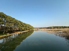 -同里国家湿地公园