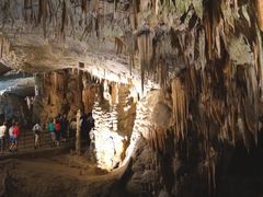 -波斯托伊纳溶洞