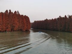 -上海海湾国家森林公园