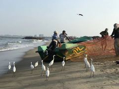 -尼甘布海鲜市场