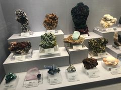 -湖南省地质博物馆