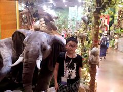 -济州岛泰迪熊博物馆