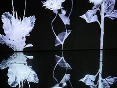 -时代美术馆-成都馆