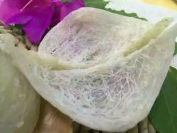 -WPlus明星肖像亲子全家福摄影