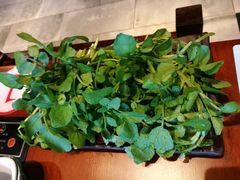 西洋菜-高兴壹锅·潮汕鲜牛肉火锅(良乡梅花庄店)