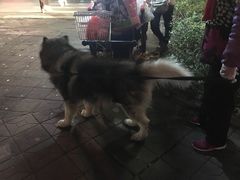 -稻香迎囍皇宫(港惠店)