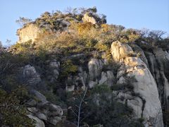-大岭沟猕猴桃谷风景区