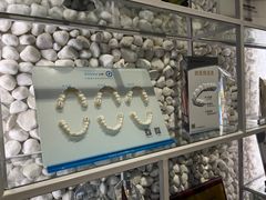 -齐玉齿科JADENTAL