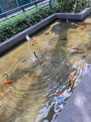 -宝生月子中心·私家园林式(龙华观澜店)