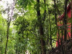 -乐山大佛风景名胜区乌尤寺南门-售票点