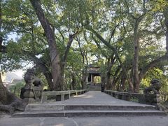 -蒋氏故居