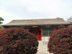 -海棠花溪(元大都城垣遗址公园)