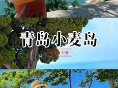 -小麦岛公园