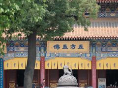 -西安大兴善寺