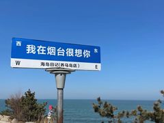 -海岛日记(养马岛店)