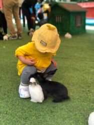 -萌宠亲子动物乐园(槐房万达店)