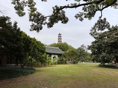 -江心屿景区