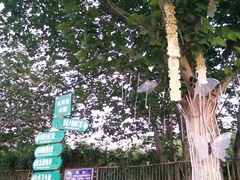 -太阳宫公园