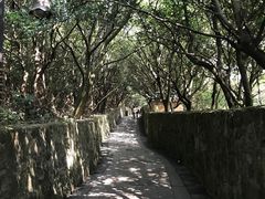 -普陀山慧济禅寺