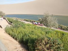 -许记驴肉黄面胡杨焖饼