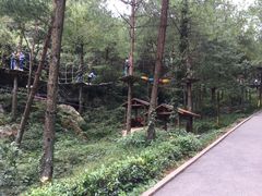 -梦幻奥陶纪景区