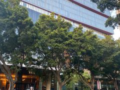 -广州天河希尔顿酒店