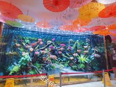 -青鱼湾水上乐园