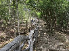 -梧桐山风景名胜区