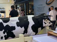 -红星前进面包牛奶公司(君太店)