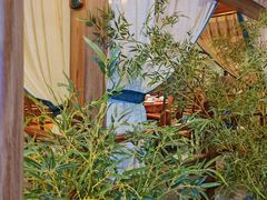 -陶然居·重庆菜(解放碑店)