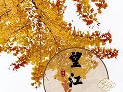 -望江楼公园