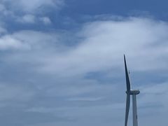 -阿弟特色海鲜餐厅·大排档(平潭店)