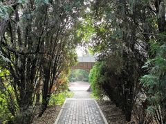 -北岭山森林公园