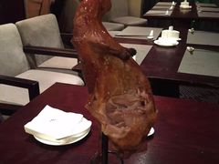 -常州环球恐龙城维景国际大酒店