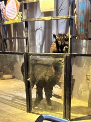 -酷嗒动物文化乐园(cutezoo西溪乐天城店)