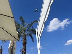 -空港花田景区