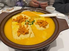 海胆鸡汤老豆腐-北塘海鲜·天津菜(大光明桥旗舰店)