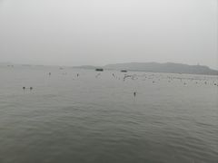 -西湖游船