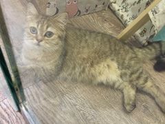 -小时光咖啡馆(开森度假森林店)