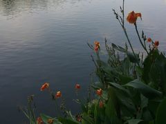 -重庆彩云湖湿地公园
