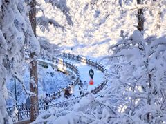 -瓦屋山景区
