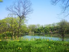 -西溪国家湿地公园