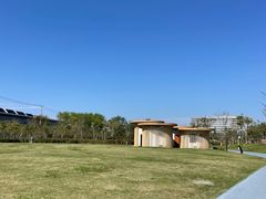 -春花秋色城市公园