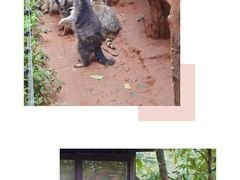 -云南野生动物园